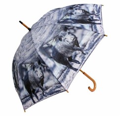 Dáždnik pre malých i veľkých poľovníkov - diviak
