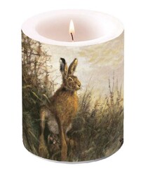 Poľovnícka dekoračná sviečka - ZAJAC