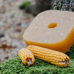 Návnada pre zver – s príchuťou kukurice