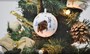 Poľovnícke vianočné ozdoby - guľa Diviak