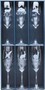 Sada champagne – 6x pohár 175ml pre poľovníkov I