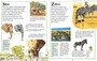 Prvá encyklopédia - Zvieratá - kniha pre malých poľovníkov